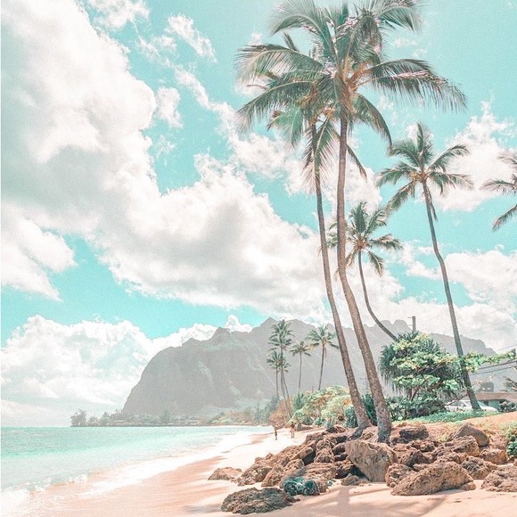 Meet your Posher, Katie beth - Picture 1 of 1